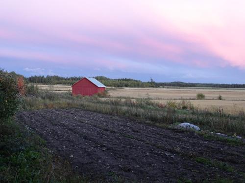 สภาพแวดล้อมโดยรอบ, Triangle Cabin in นานทาลี