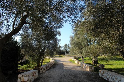 B&B Giovannarolla Green House – Ostuni, AR