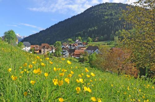 Albergo Diffuso Comeglians - Accommodation