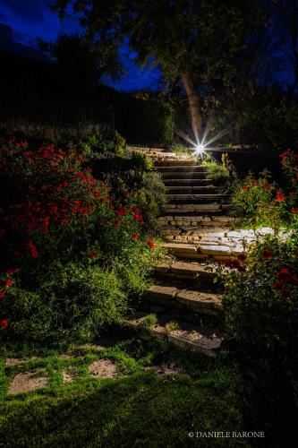 Baia Delphis Resort - image 7