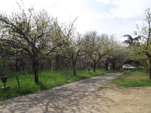 Domaine des cigales, gîte Les cèdres