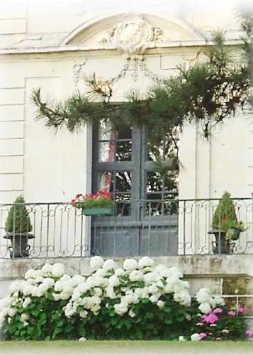Château de Beaulieu - image 10