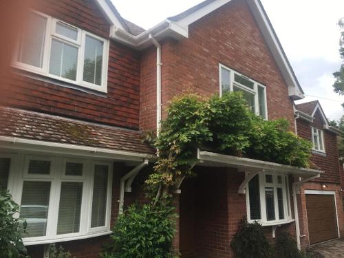 Ramblings BnB Shaw