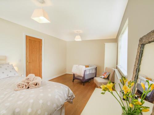 Coed Bolyn Lodge - image 13