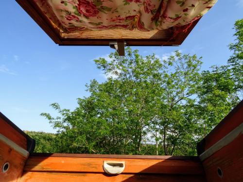 Le Mimose B&B - image 10
