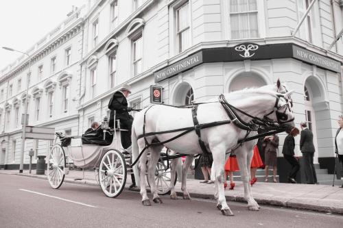 New Continental Hotel; Sure Hotel Collection by Best Western - main image