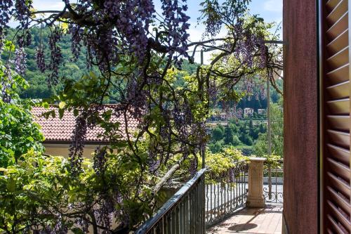 ALTIDO Wisteria House