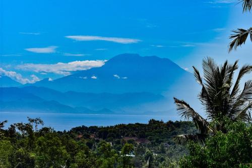 Mount Sea View Bungalow Bali