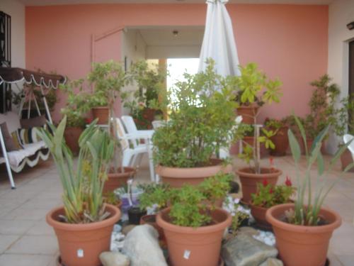 Iliaktida Apartments - image 4