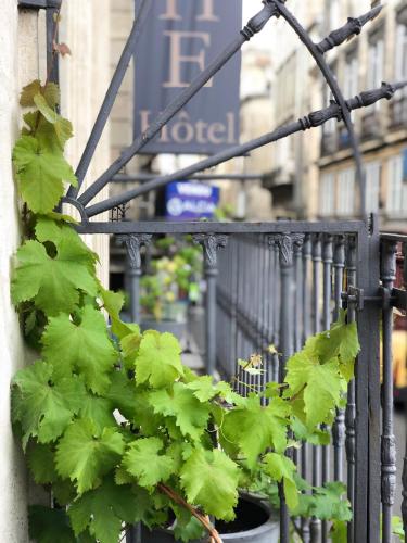 Hotel Bleu de Mer, Burdeos (foto 9)