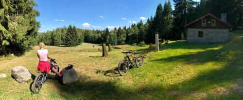 Ferienwohnung-direkt-am-skihang - image 5