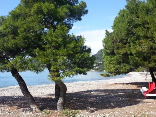 Apartment Dasic - image 7