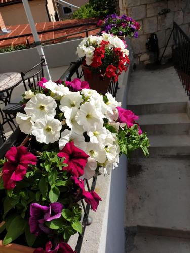 Golden B&B, Split (Foto 8)