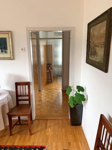 House Amalia