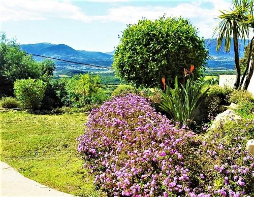 Casa di l'Alivetu - Location saisonnière - Bastelicaccia