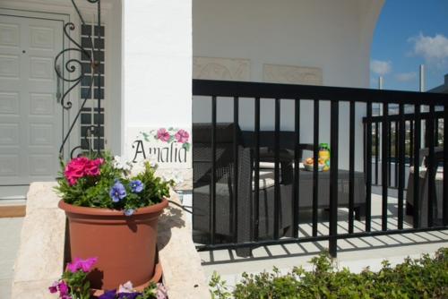 AMALIA - image 7