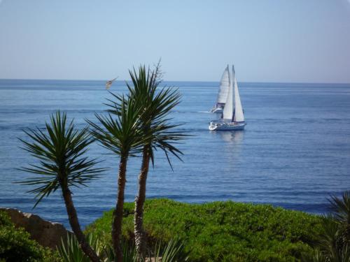 Apartamentos Parque Mar - image 8