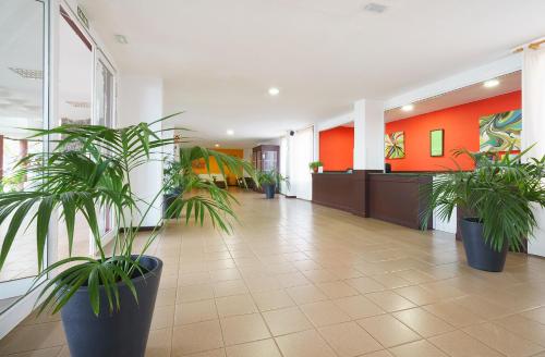 大堂, 坎加胡斯中心公寓酒店 (Apartamentos Centro Cancajos) in 佈雷尼亞瓦哈