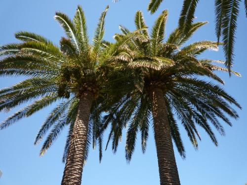 Apartamentos Parque Mar - image 7