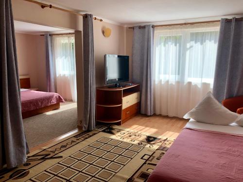 One-Bedroom Suite room in Pensiunea Karelia