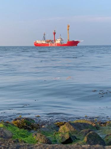 Seedeich Stube Apartment In Cuxhaven Germany Wander