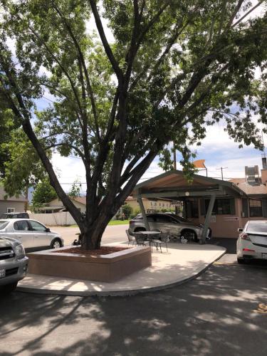 Bishop Elms Motel - image 5