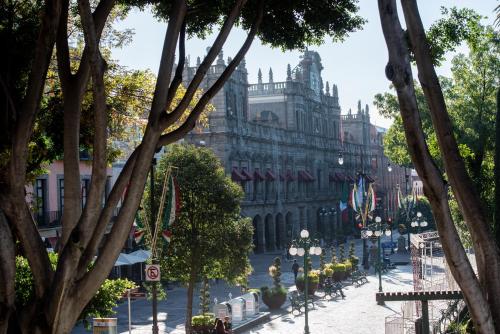 Zocalo SENSACIONAL photo 4