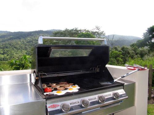 Seclude Rainforest Retreat