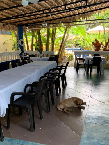 Instalaciones, Sana El Jardin Secreto in Santiago de los Caballeros