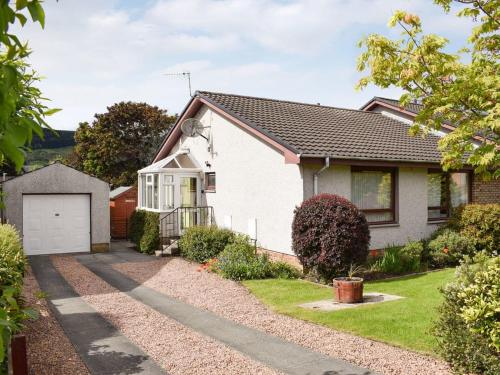 Gentian, Aberfeldy, Perthshire