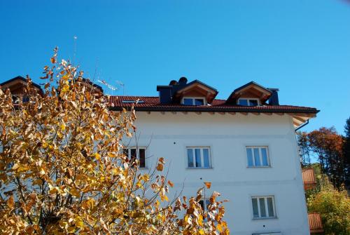 Casa Knapp - image 8