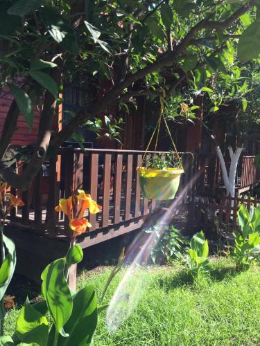 No:1281 Boutique Hotel - image 10