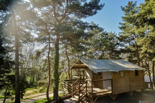 One-Bedroom Bungalow