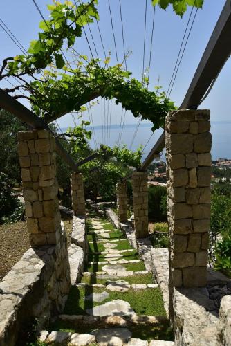 Villa Pina in Makarska private pool - image 7