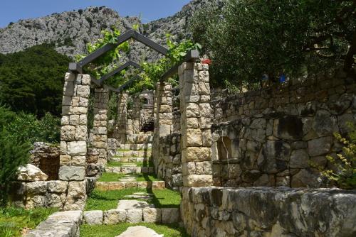 Villa Pina in Makarska private pool - image 13