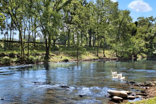 River Place Hideaway - image 2