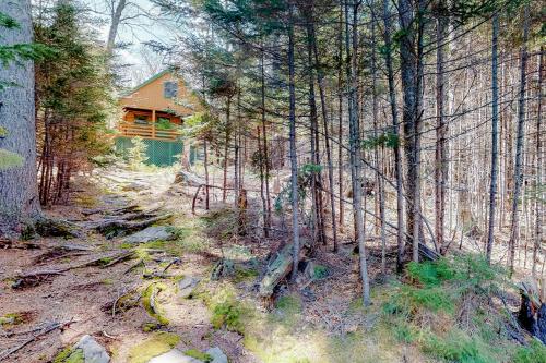 Loon Landing Lodge - image 4