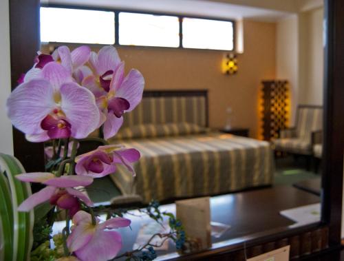 Hotel Tecadra - image 13