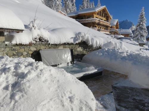 CHALET-SPA SUR LES PISTES 10 Personnes gîte à louer La Charmette