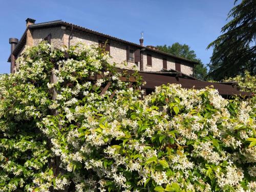Agriturismo Beata Vanna - image 13