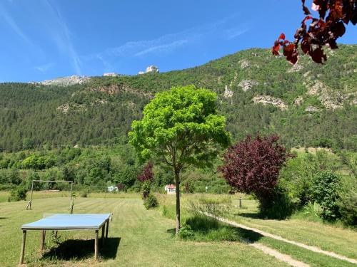 Domaine La Pique photo 16