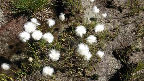 Haus zur Kapelle Haus zur Kapelle