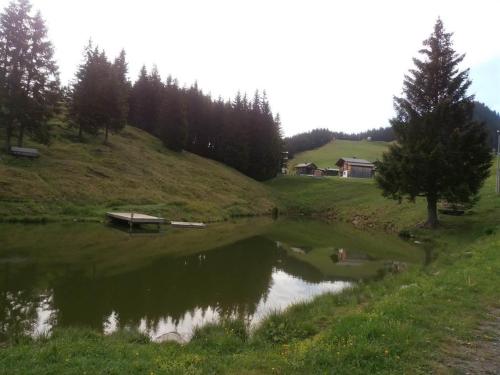 Haus zur Kapelle Haus zur Kapelle