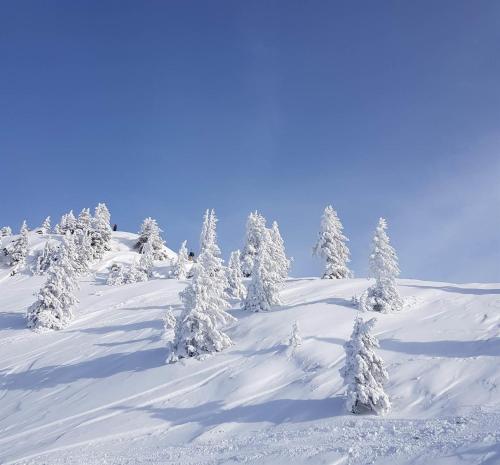 Haus zur Kapelle Haus zur Kapelle