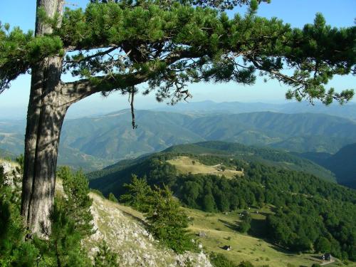 Konačište Osmica - image 10