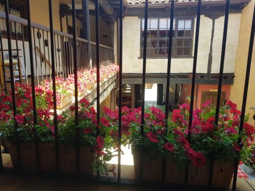 Albergue El Encanto