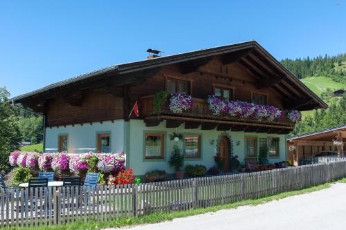  Kleinwidmoos-Apartment, Pension in Wagrain