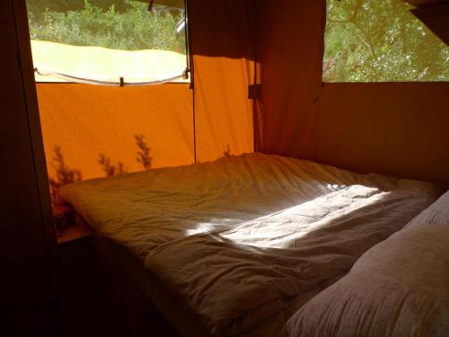 Hoopoe Glamping