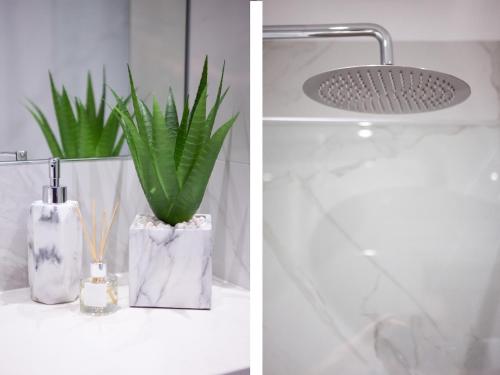 Bootham Luxury Apartments - image 6