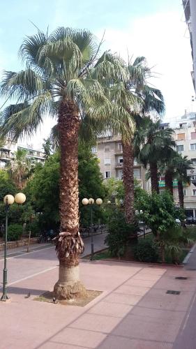 Exis Hotel, Athènes (photo 8)